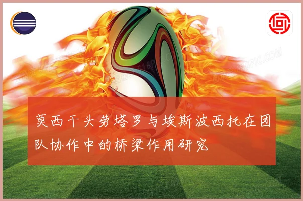 莫西干头劳塔罗与埃斯波西托在团队协作中的桥梁作用研究