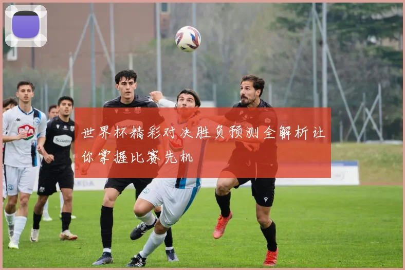 世界杯精彩对决胜负预测全解析让你掌握比赛先机