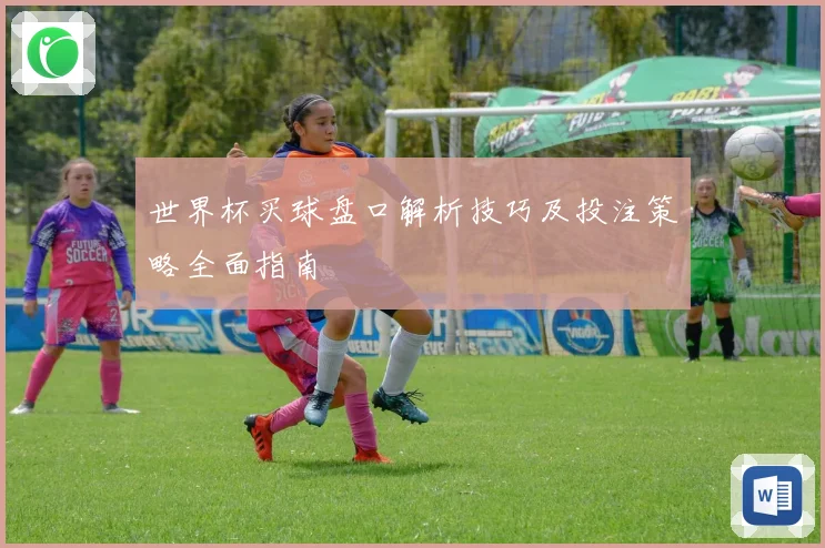 世界杯买球盘口解析技巧及投注策略全面指南